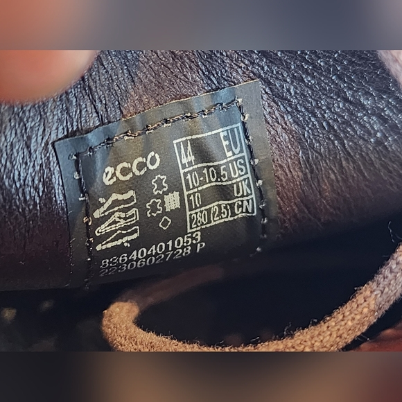 Ecco - Picture 14 of 16